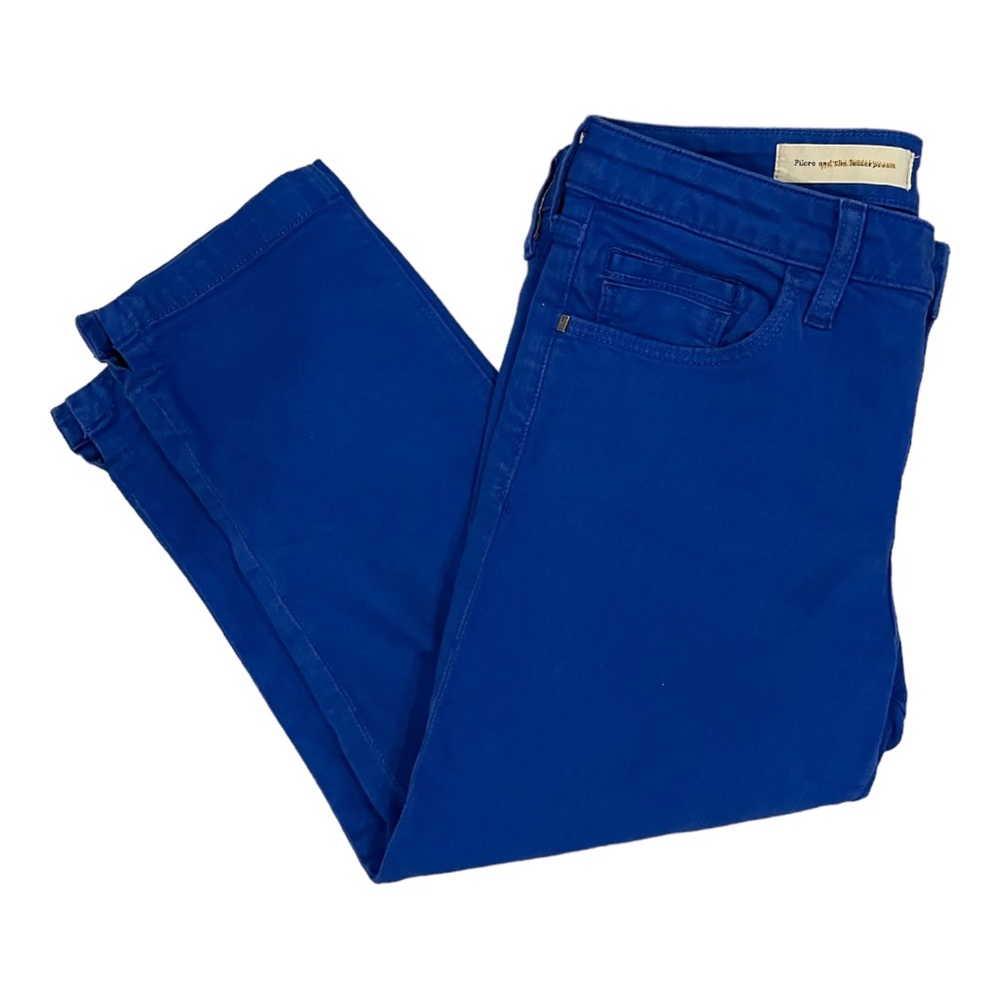 0752 EUC Pilcro and the Letterpress ~ Anthropologie~ Blue pants 29~